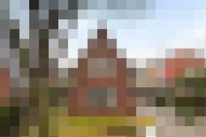 Schoolstraat 29 Buitenpost thumbnail 4