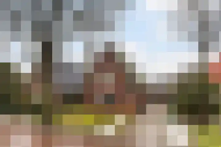 Schoolstraat 29 Buitenpost thumbnail 5