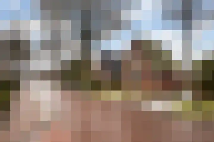 Schoolstraat 29 Buitenpost thumbnail 6