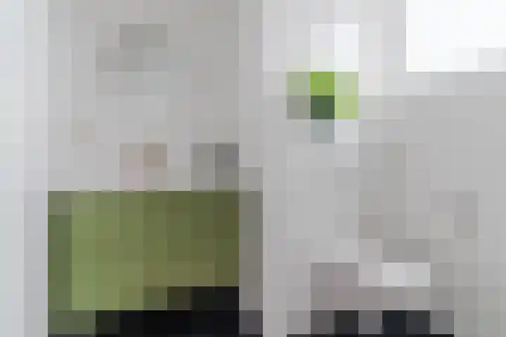 Schoolstraat 3 H Rosmalen thumbnail 20