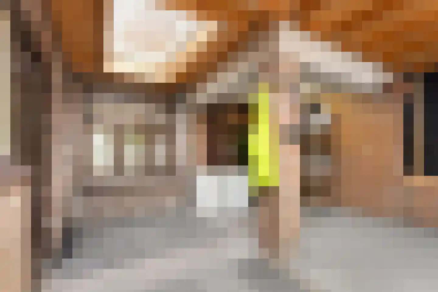 Schoolstraat 3 Maastricht thumbnail 22