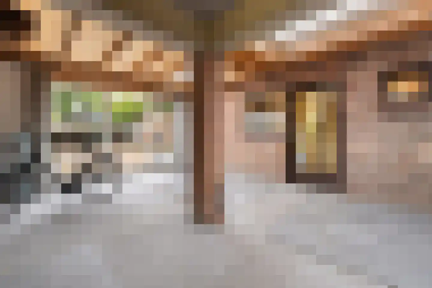Schoolstraat 3 Maastricht thumbnail 23