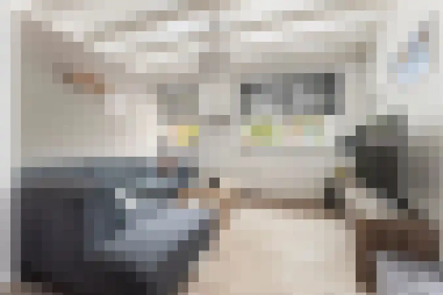 Schoolstraat 3 Maastricht thumbnail 5