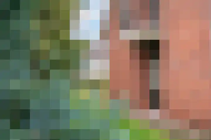 Schoolstraat 3 Markelo thumbnail 4