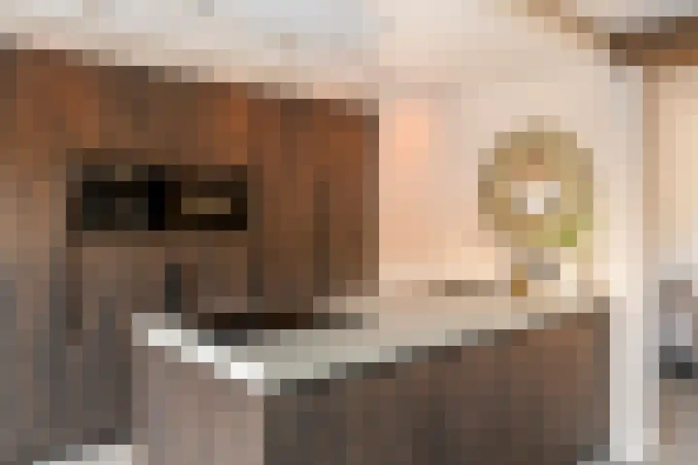 Schoolstraat 3 Ochten thumbnail 16
