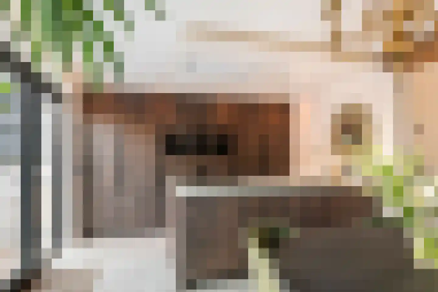 Schoolstraat 3 Ochten thumbnail 18