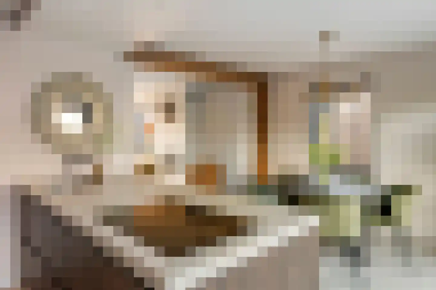Schoolstraat 3 Ochten thumbnail 19