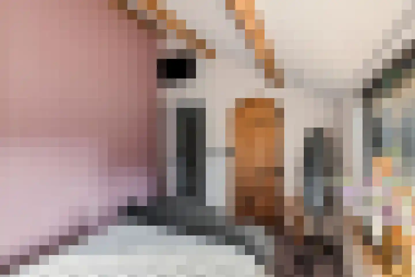 Schoolstraat 3 Ochten thumbnail 46