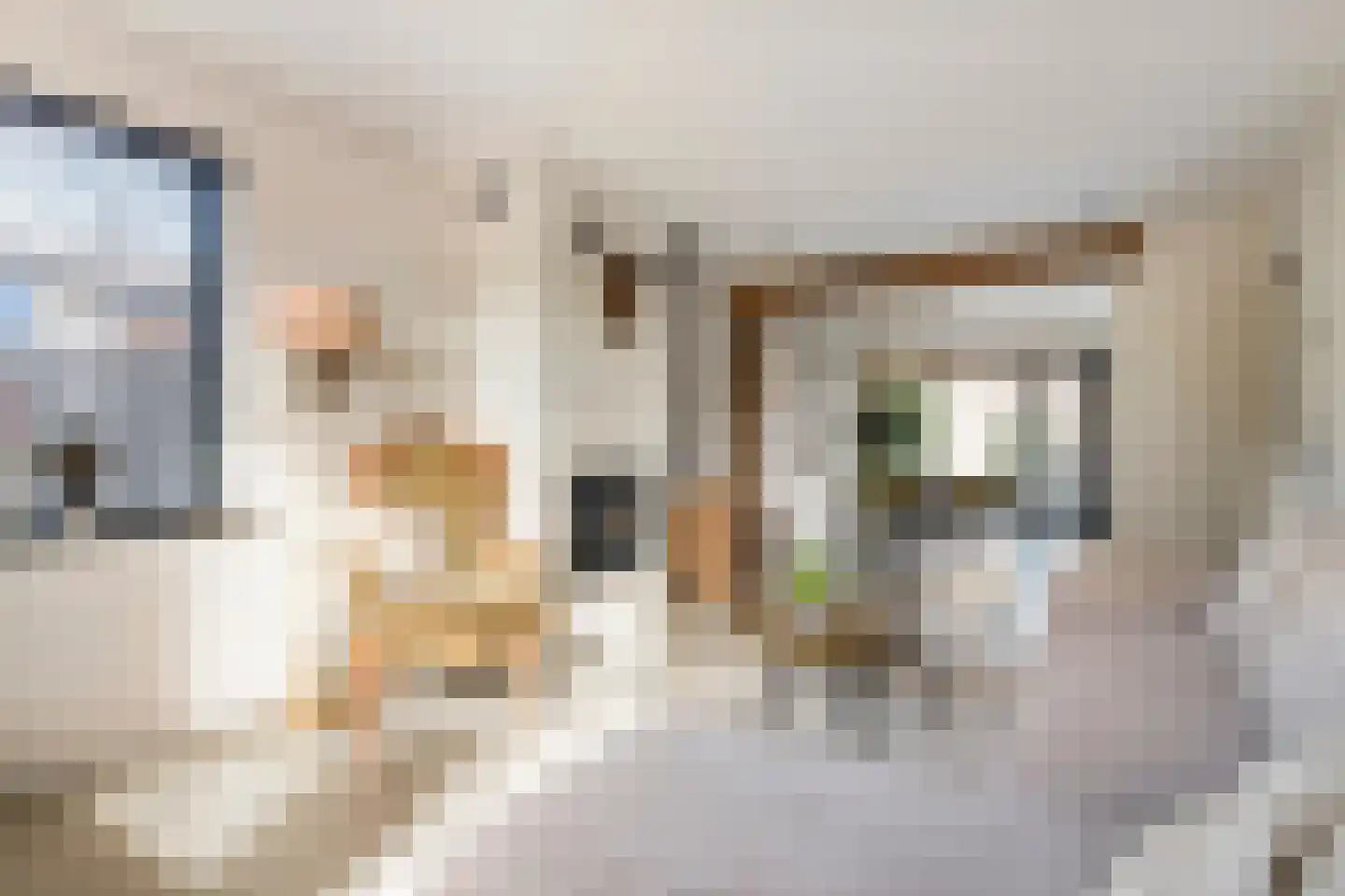 Schoolstraat 3 Ochten thumbnail 5