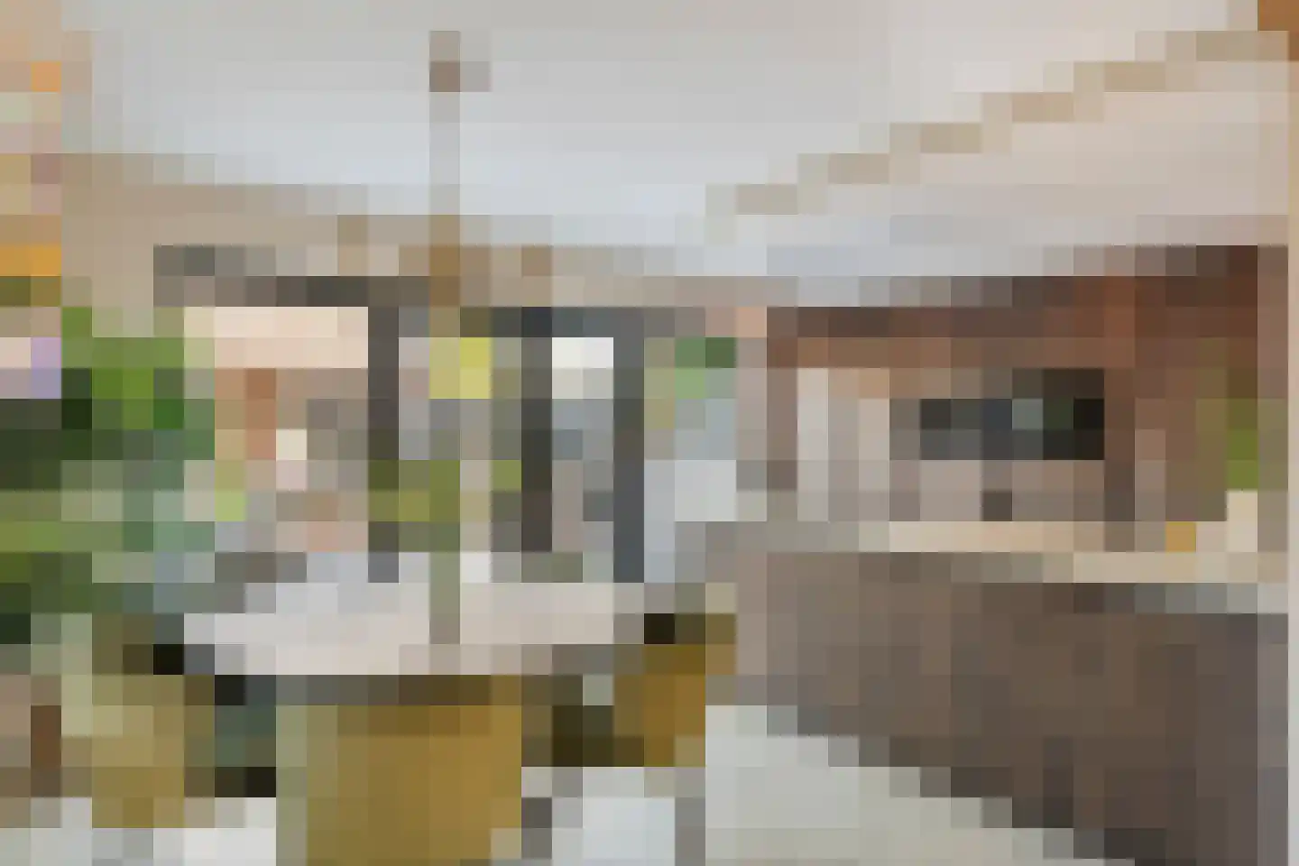 Schoolstraat 3 Ochten thumbnail 6