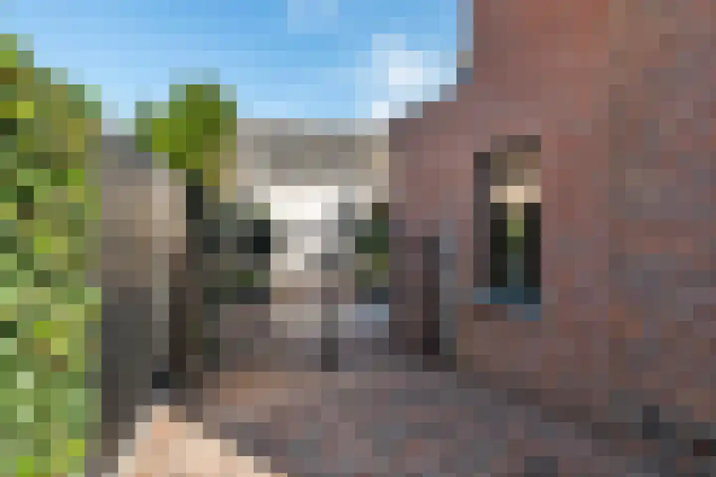 Schoolstraat 3 Ochten thumbnail 62