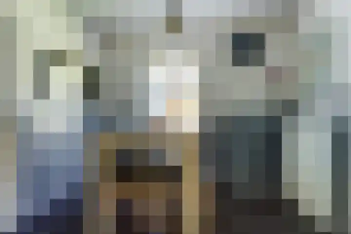 Schoolstraat 3 Putte thumbnail 10
