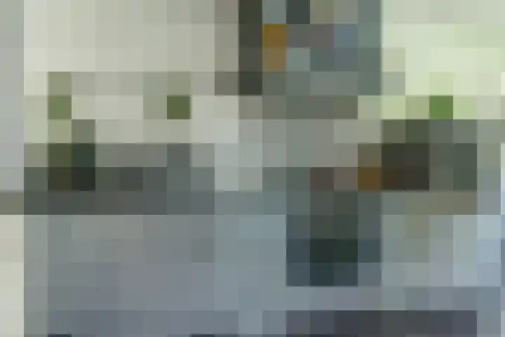 Schoolstraat 3 Putte thumbnail 11