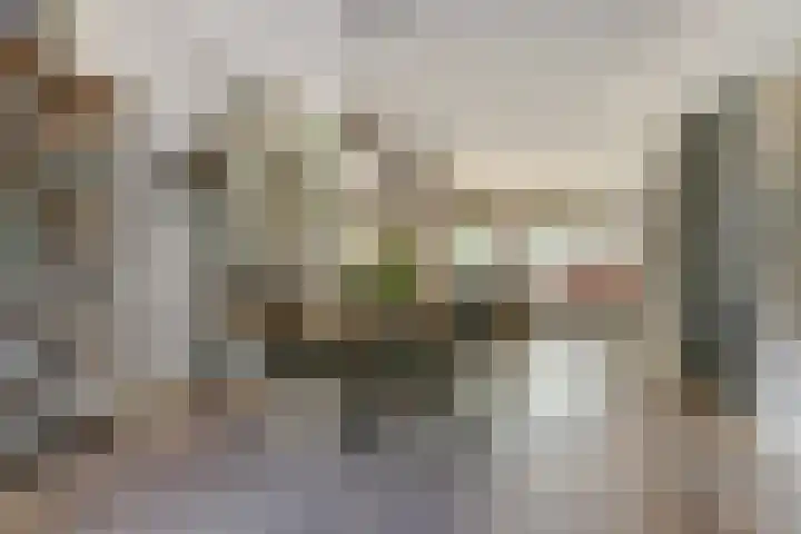 Schoolstraat 3 Putte thumbnail 14