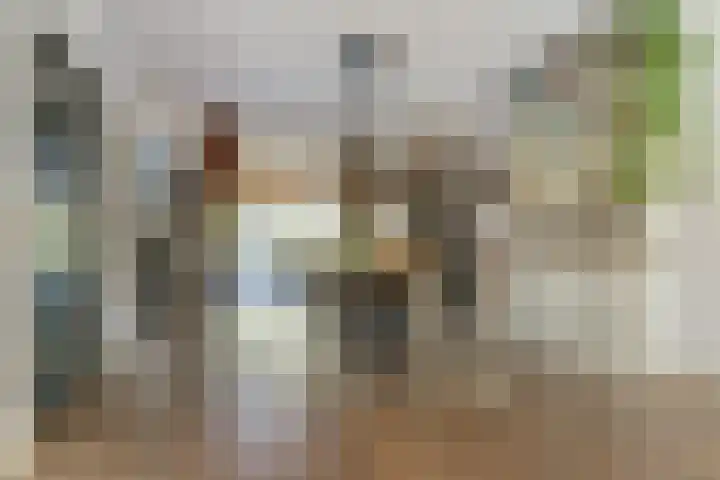 Schoolstraat 3 Putte thumbnail 15