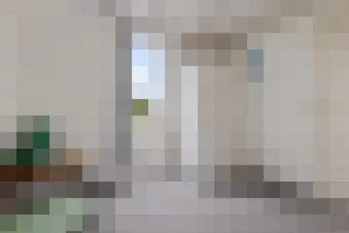 Schoolstraat 3 Putte thumbnail 20