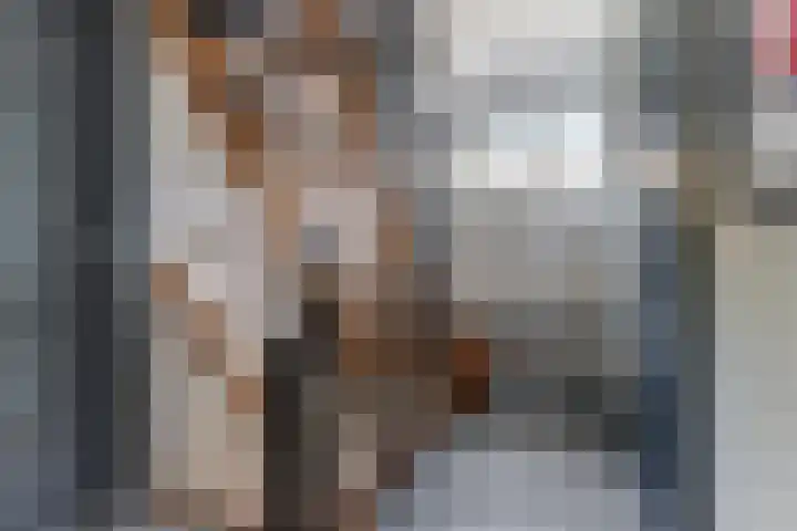 Schoolstraat 3 Putte thumbnail 28