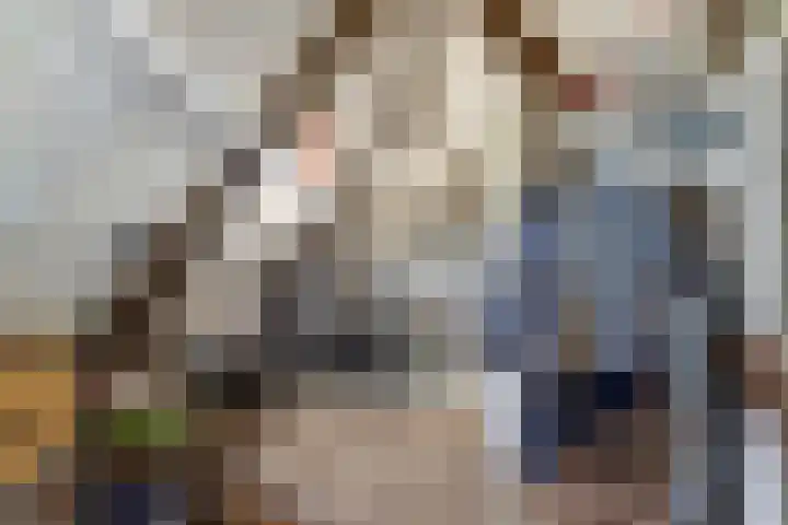 Schoolstraat 3 Putte thumbnail 29