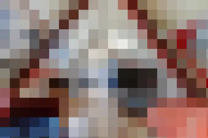 Schoolstraat 3 Putte thumbnail 35