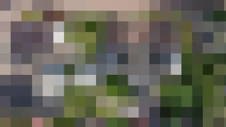 Schoolstraat 3 Putte thumbnail 39