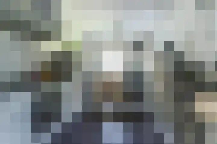 Schoolstraat 3 Putte thumbnail 4
