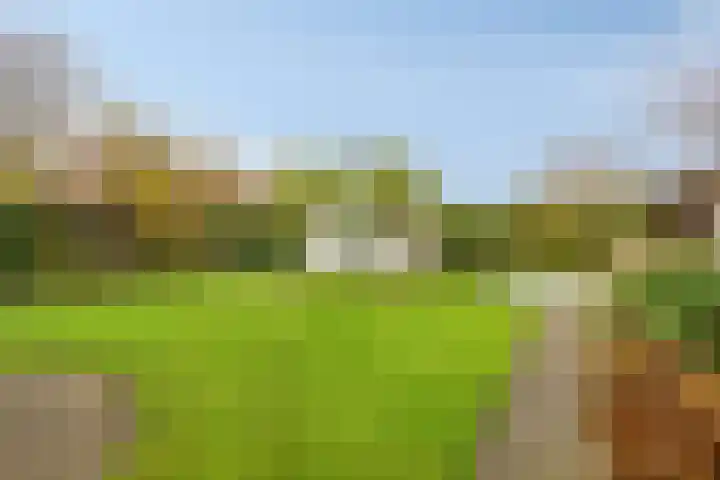 Schoolstraat 3 's-Hertogenbosch thumbnail 18