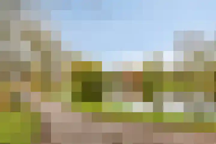 Schoolstraat 3 's-Hertogenbosch thumbnail 41