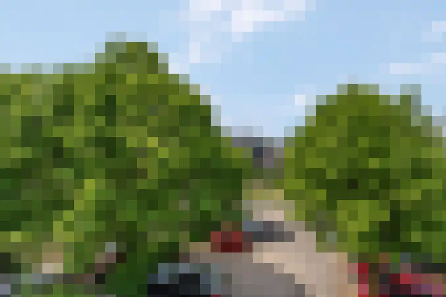 Schoolstraat 30 Nijmegen thumbnail 31