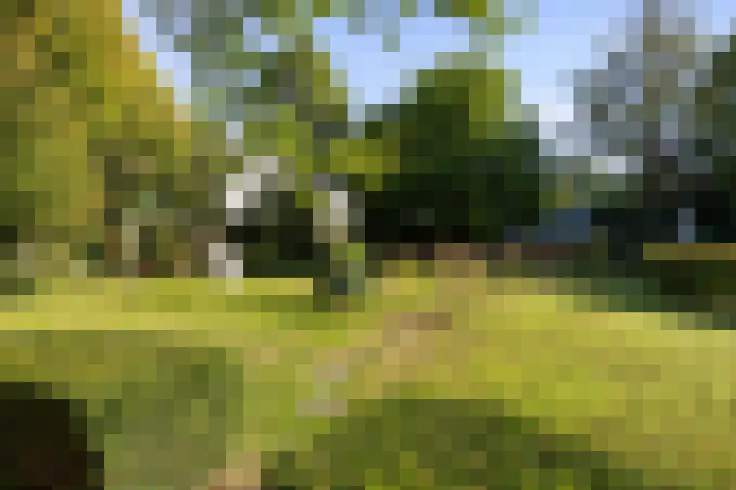 Schoolstraat 30 Panningen thumbnail 100