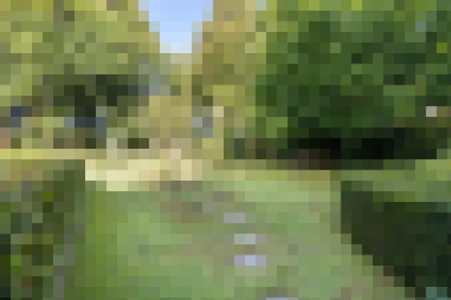 Schoolstraat 30 Panningen thumbnail 101