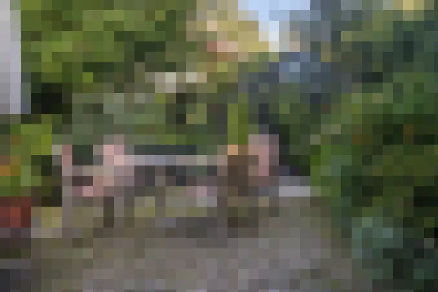 Schoolstraat 30 Panningen thumbnail 102