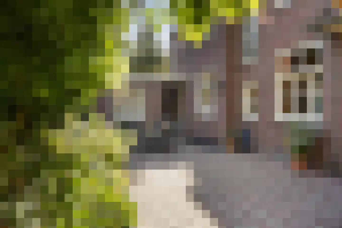 Schoolstraat 30 Panningen thumbnail 116