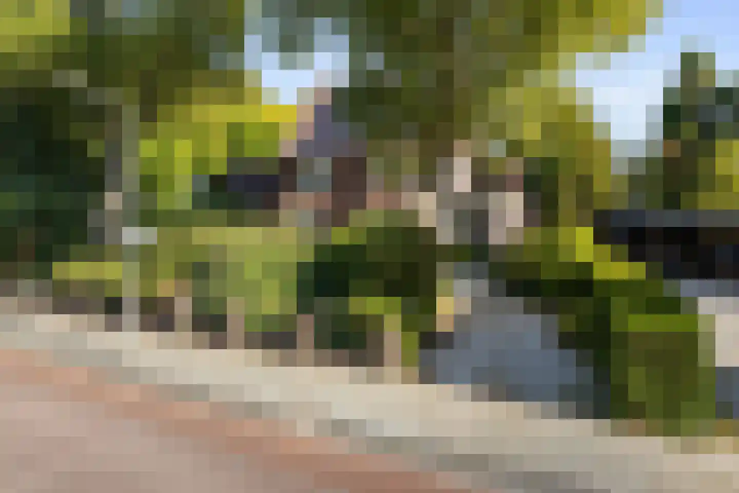 Schoolstraat 30 Panningen thumbnail 130