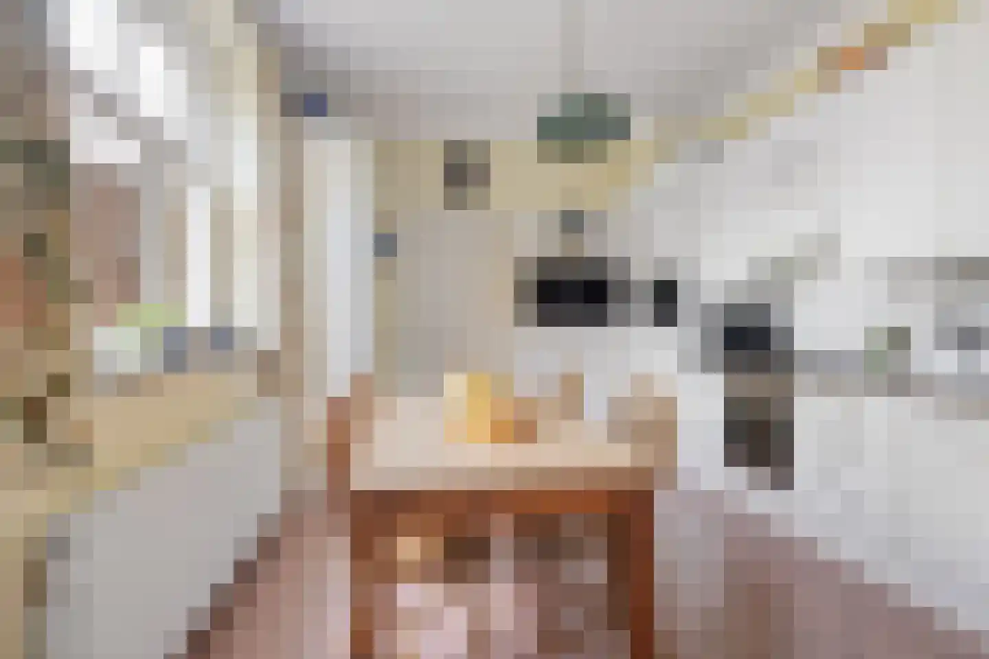 Schoolstraat 30 Panningen thumbnail 41