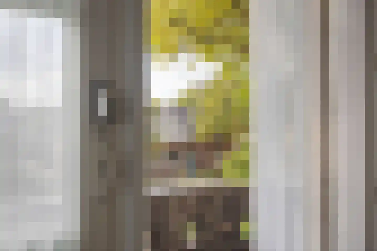 Schoolstraat 30 Panningen thumbnail 64