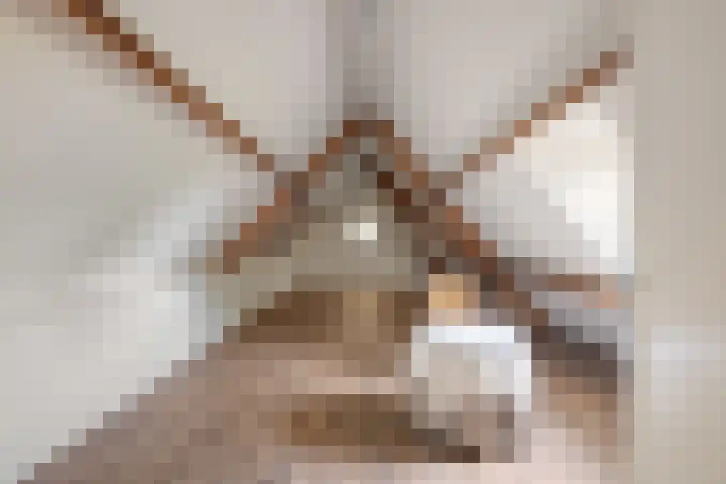 Schoolstraat 30 Panningen thumbnail 72