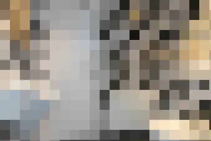 Schoolstraat 30 Rijnsaterwoude thumbnail 8