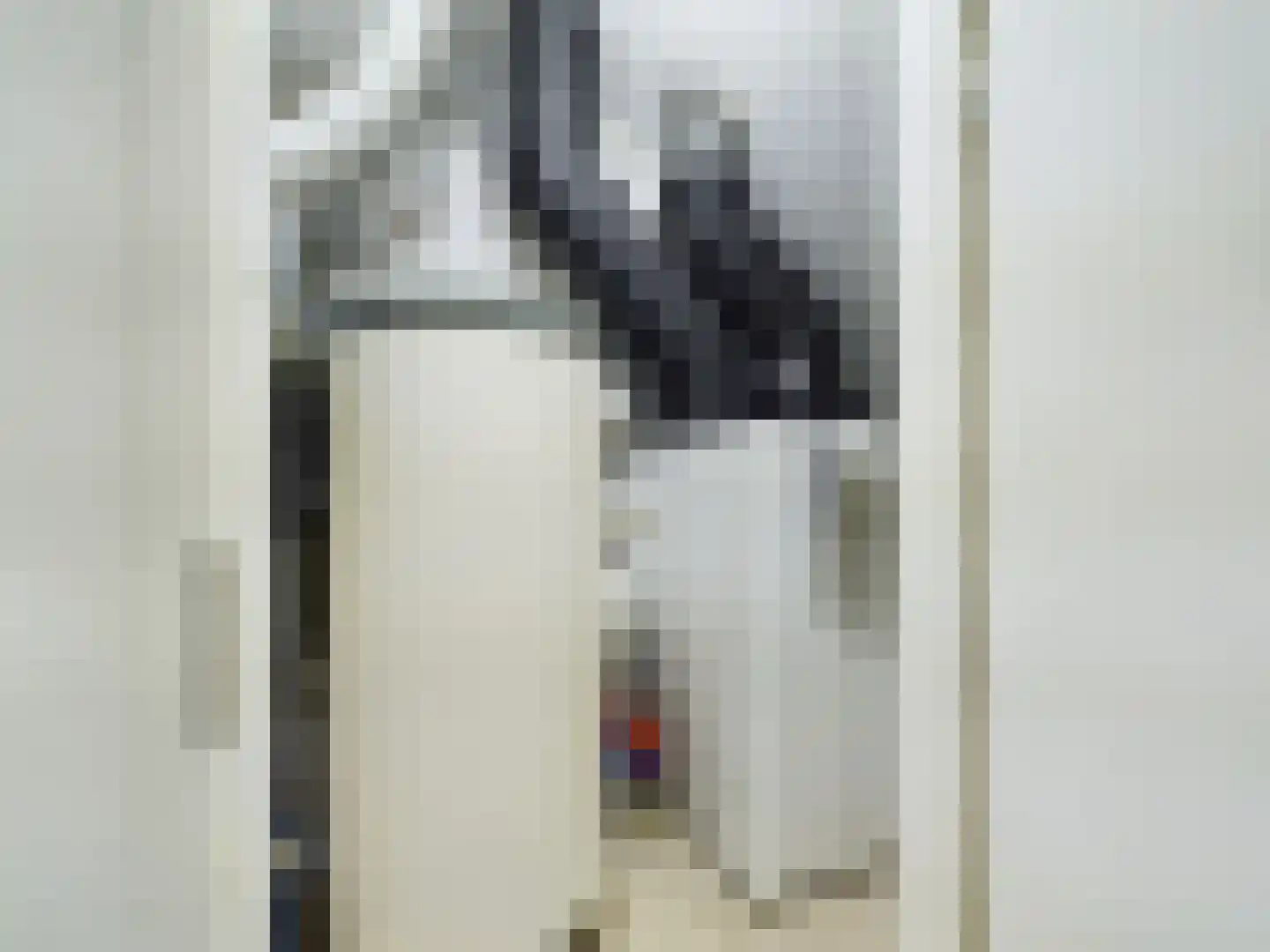 Schoolstraat 30 Zegge thumbnail 55
