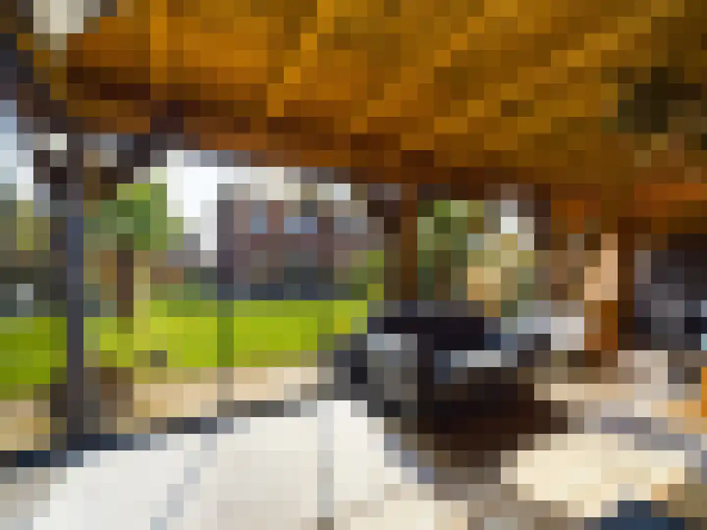Schoolstraat 30 Zegge thumbnail 69
