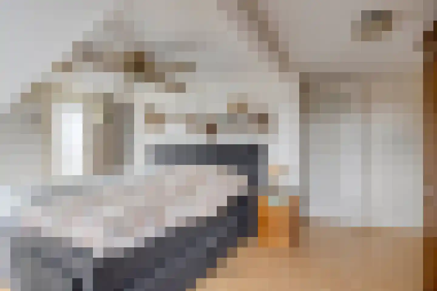 Schoolstraat 31 Goor thumbnail 22