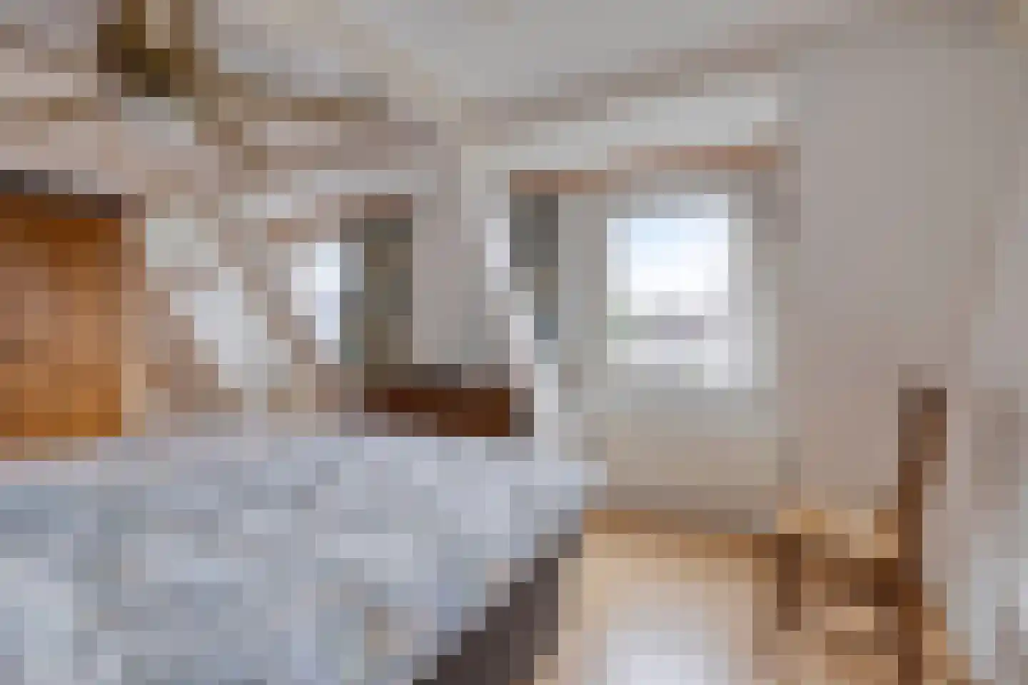 Schoolstraat 31 Goor thumbnail 23