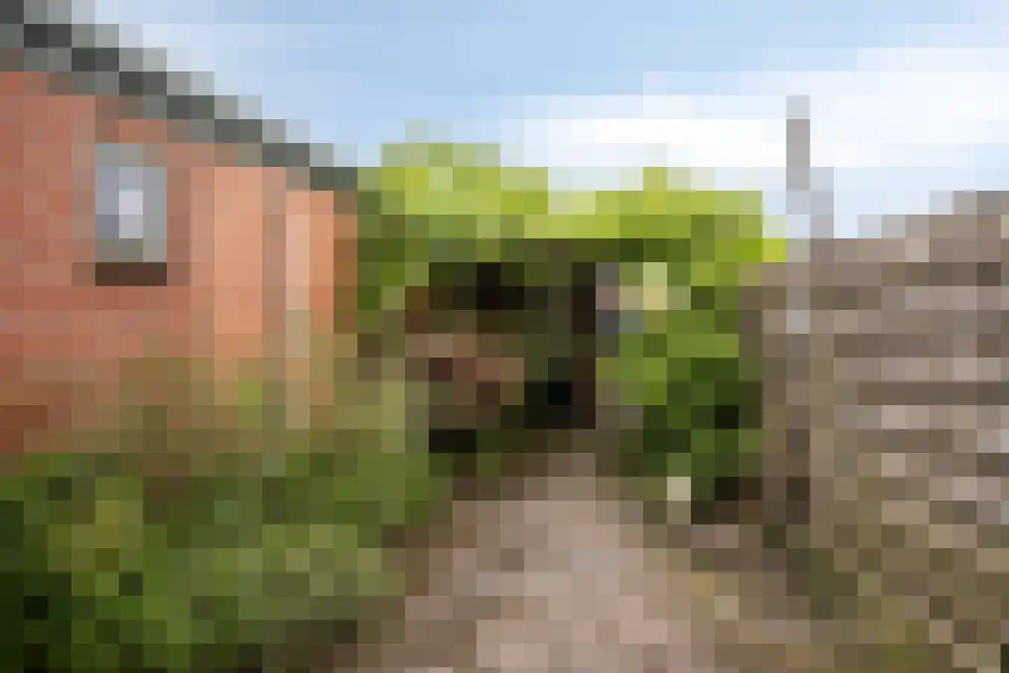 Schoolstraat 31 Goor thumbnail 27