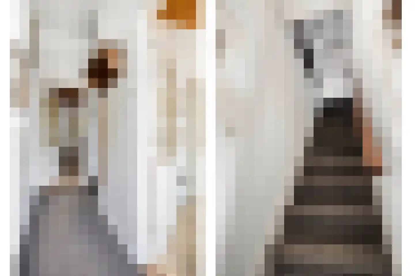 Schoolstraat 31 Goor thumbnail 4