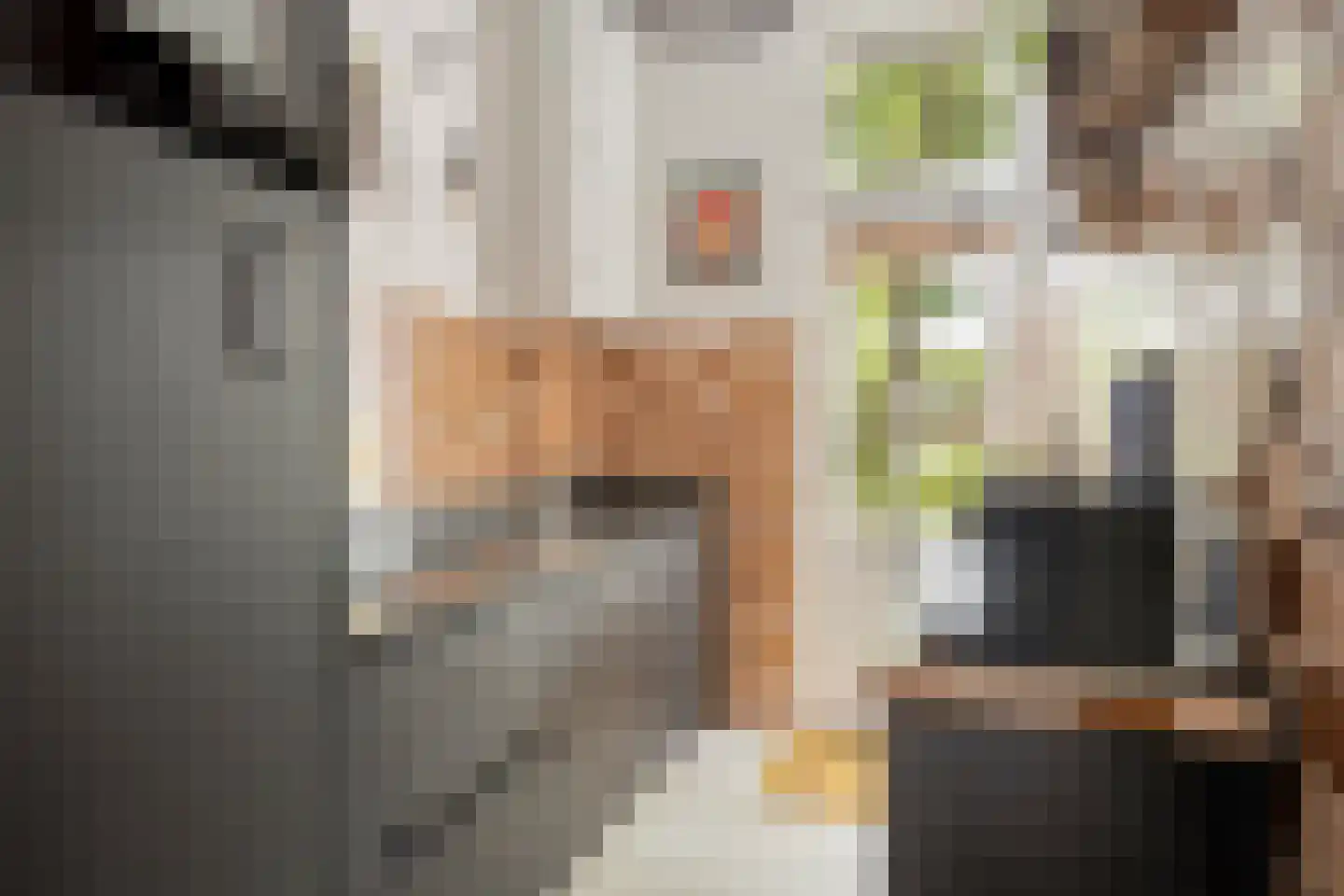 Schoolstraat 31 Nijmegen thumbnail 10