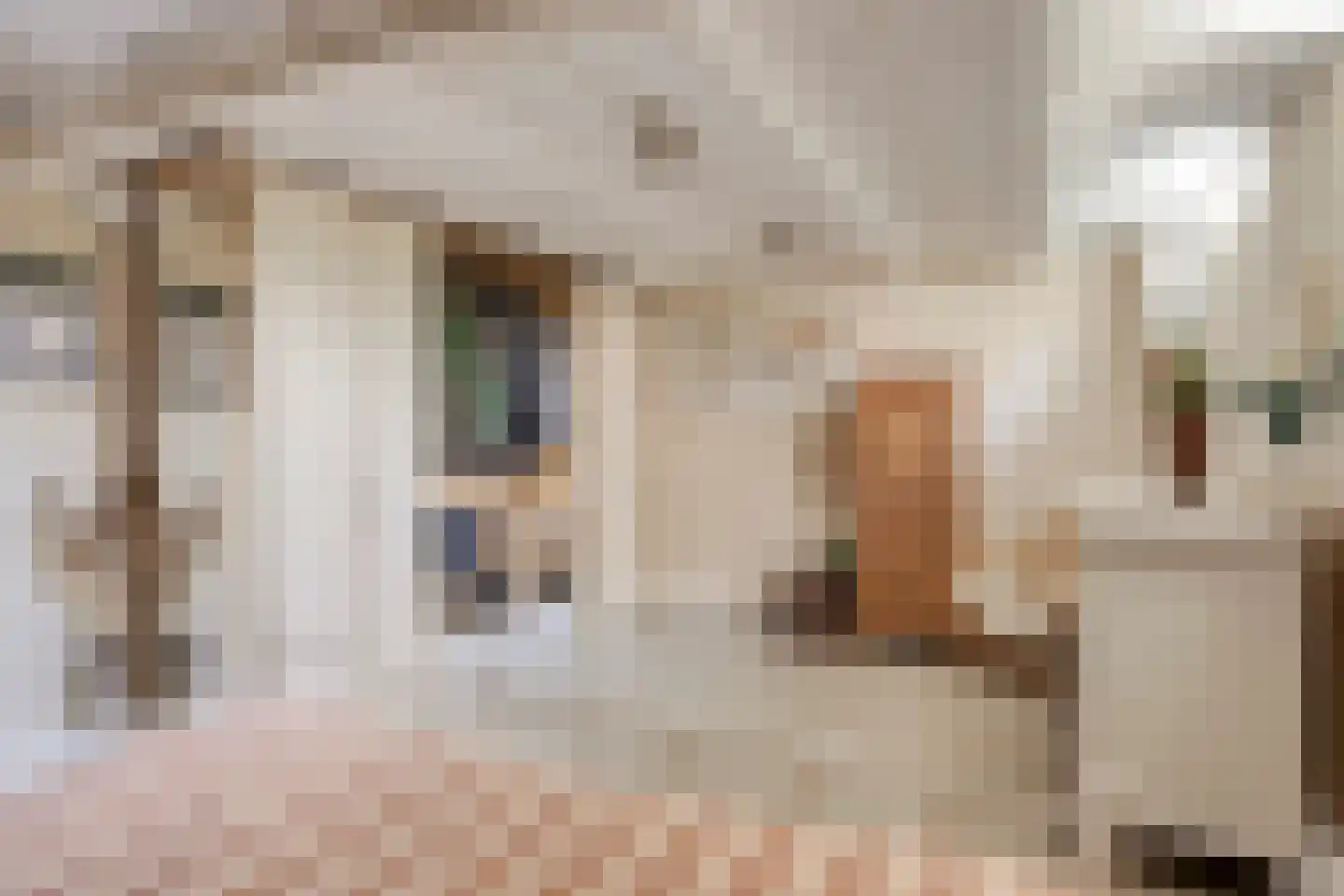 Schoolstraat 31 Nijmegen thumbnail 18