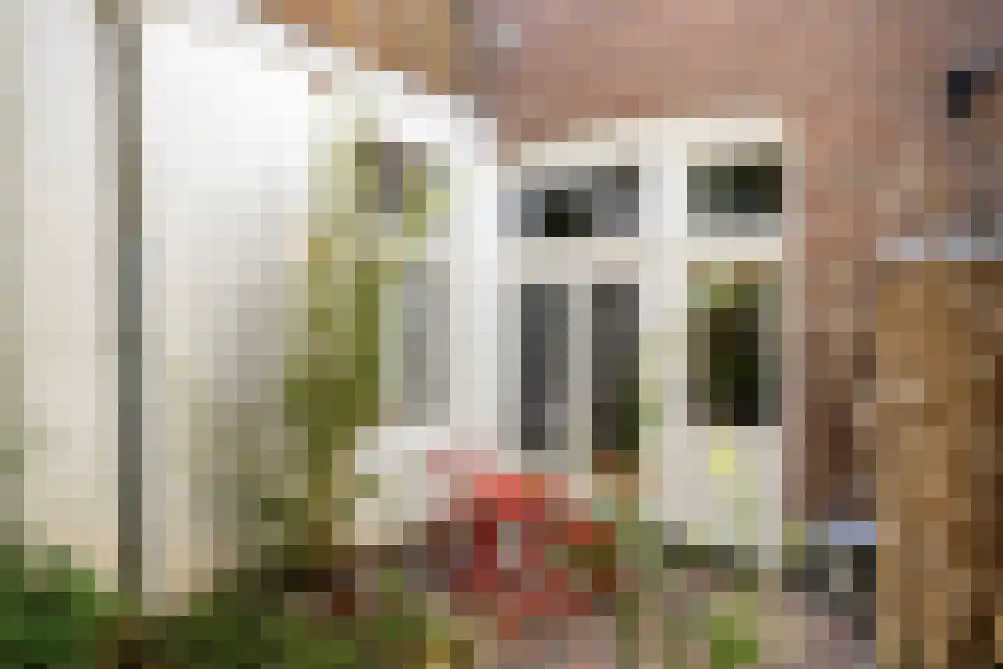 Schoolstraat 31 Nijmegen thumbnail 24