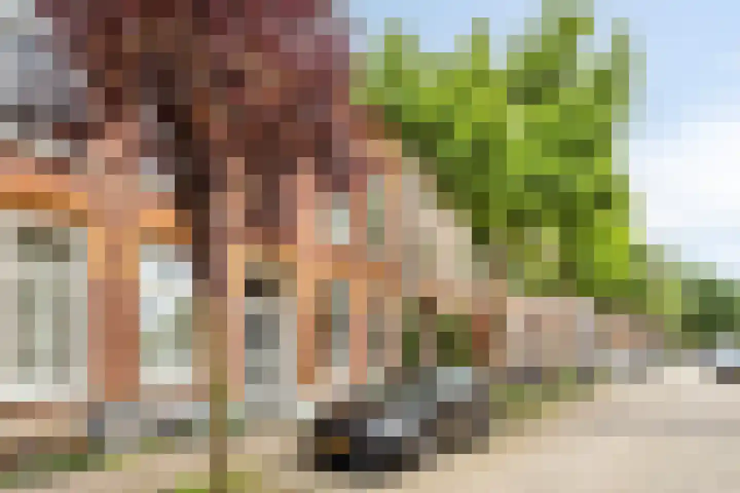 Schoolstraat 31 Nijmegen thumbnail 28