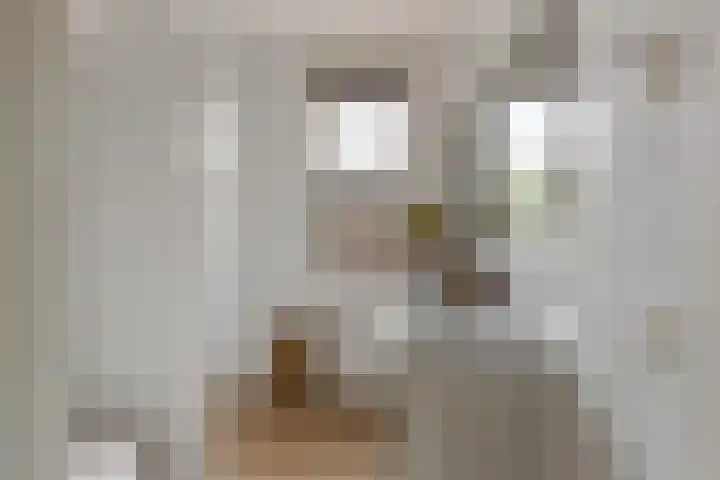 Schoolstraat 32 Ederveen thumbnail 21