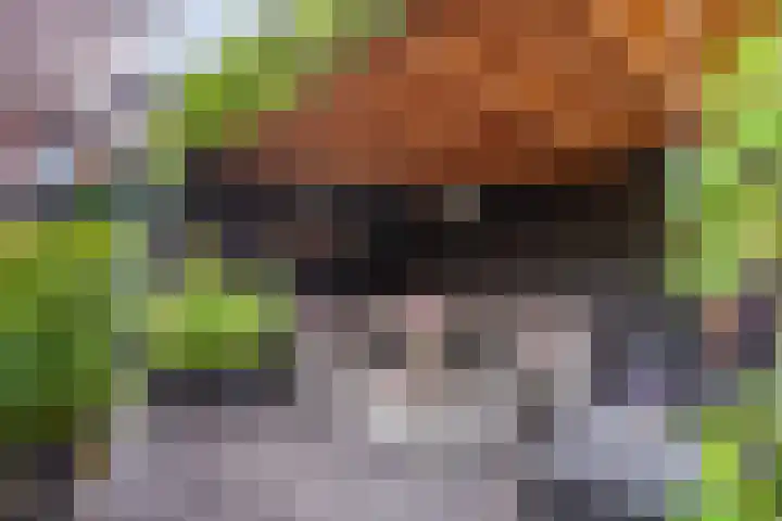 Schoolstraat 32 Ederveen thumbnail 31