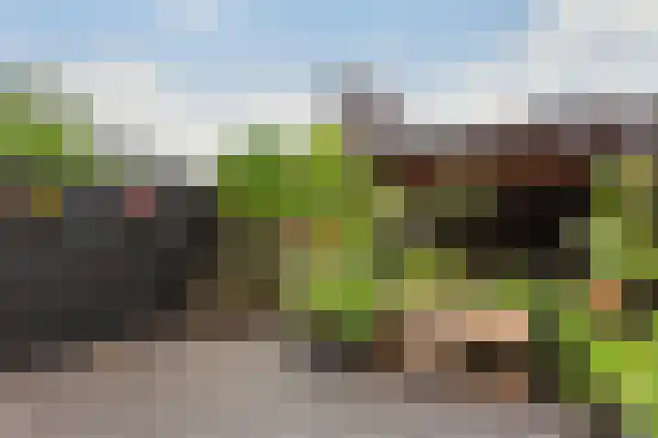 Schoolstraat 32 Ederveen thumbnail 33